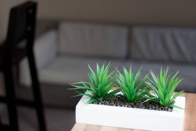 Tournoi interne squash et badminton à Montpellier